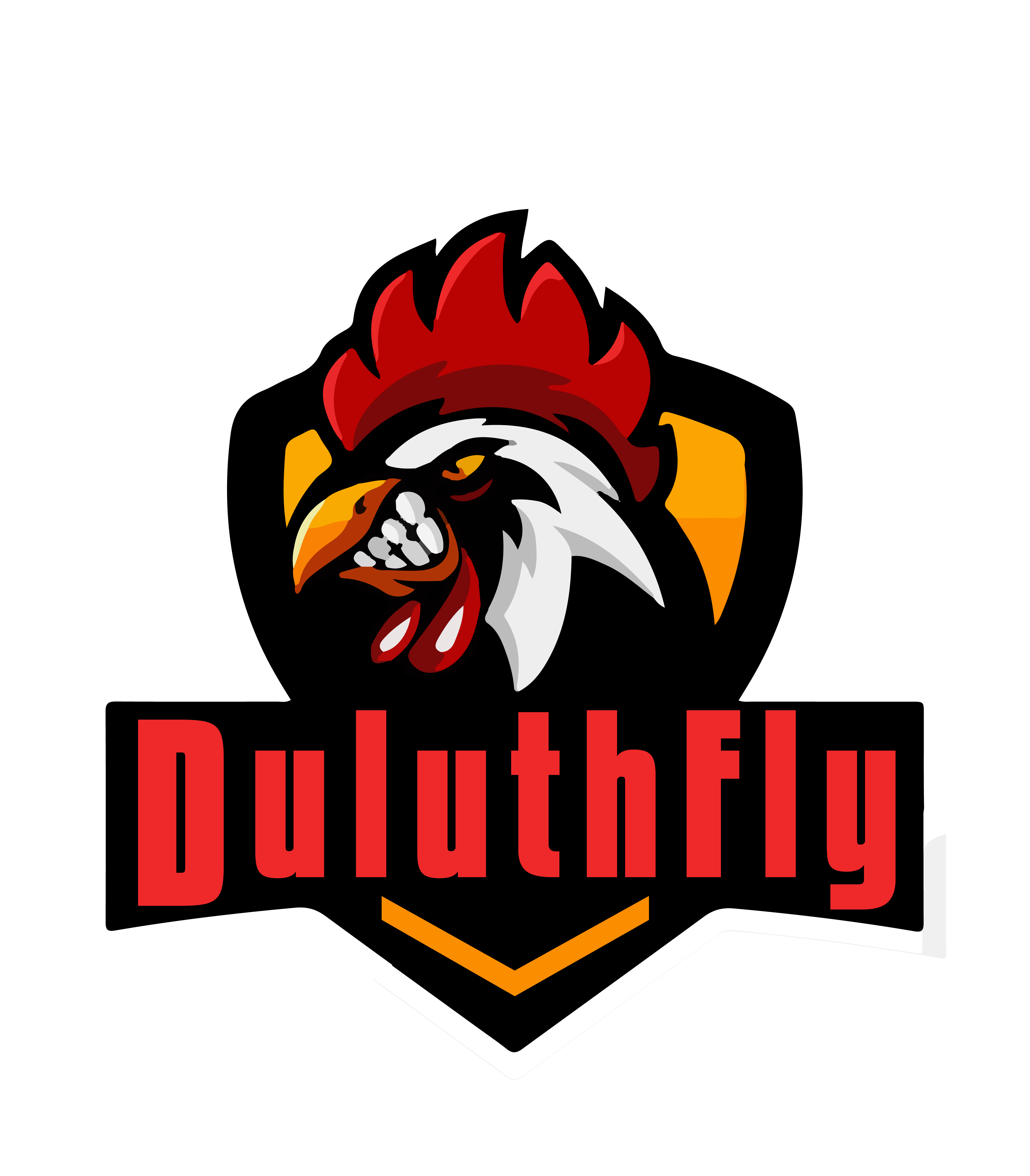 DuluthFly Final NOBG-01